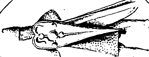 082/082050010000400_0.png