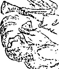 082/082080020000020_0.png