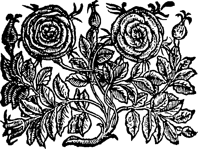 082/082150010200620_0.png