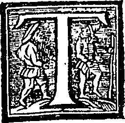 082/082150010200990_0.png