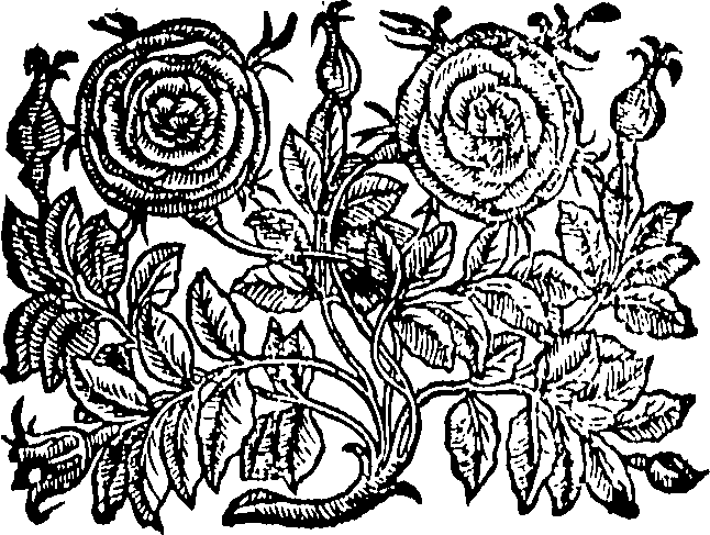 082/082150010204690_0.png