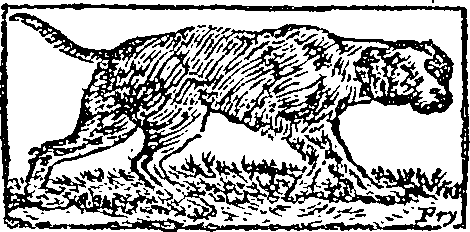 082/082190020001920_0.png