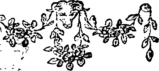 082/082190020003500_0.png