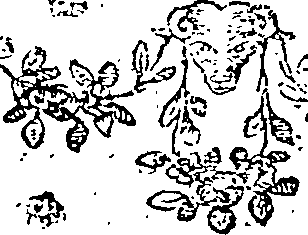 082/082190020004090_0.png