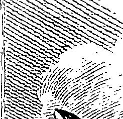 082/082290080000020_0.png