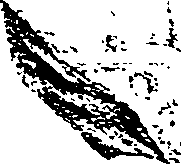 082/082290080000030_1.png