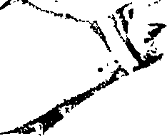082/082290080000090_0.png