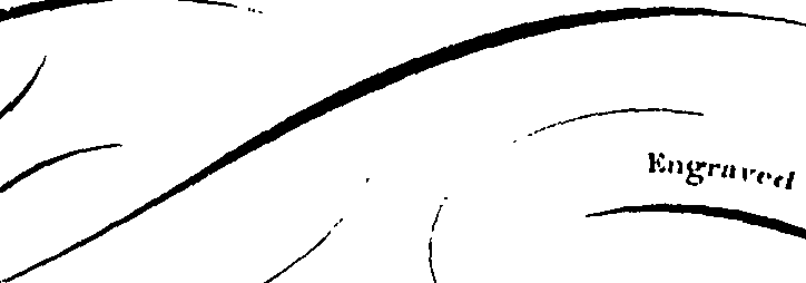 082/082350030000050_1.png