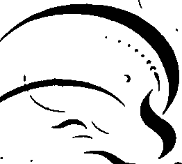 082/082350030000070_1.png
