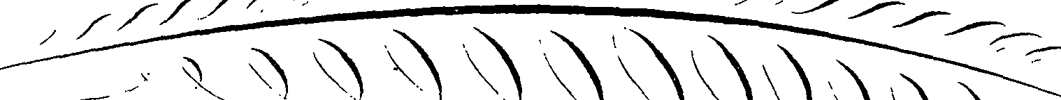 082/082350030000090_4.png