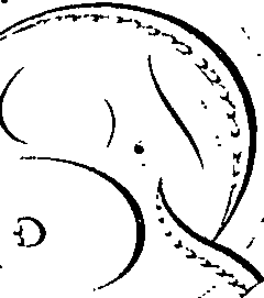 082/082350030000130_1.png