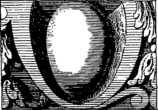 082/082350040000050_1.png