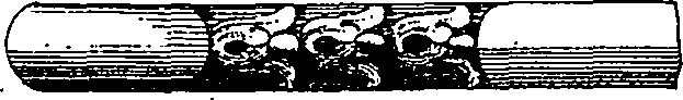 082/082350040000050_2.png