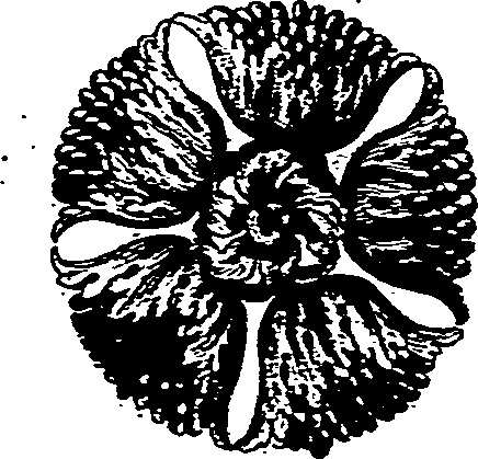 082/082350040000850_2.png