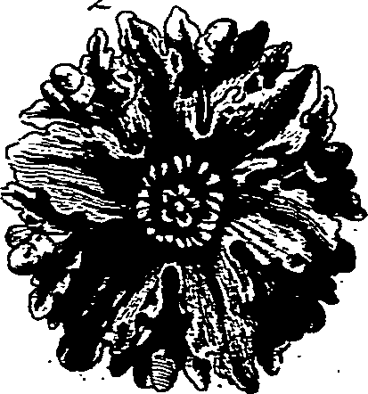 082/082350040000850_3.png
