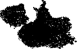 082/082360010005990_0.png