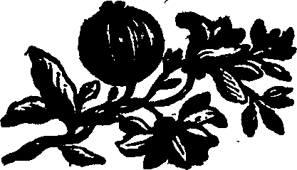 082/082360020000580_0.png