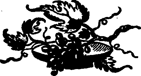 082/082360020000690_0.png