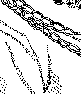 082/082360020000820_0.png
