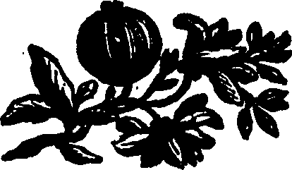 082/082360020000920_0.png