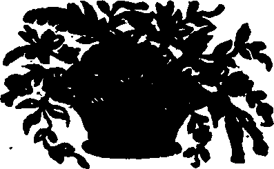 082/082360030000350_0.png