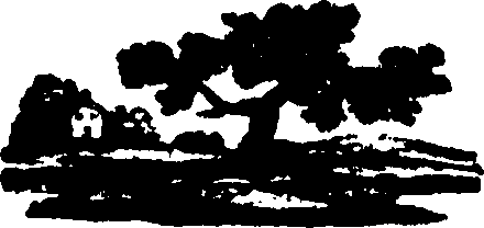 082/082360030000480_0.png
