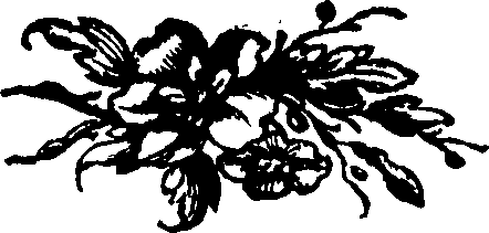 082/082360030000500_0.png