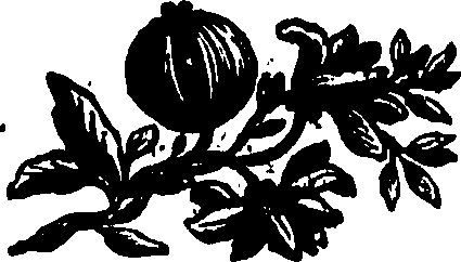 082/082360030000740_0.png