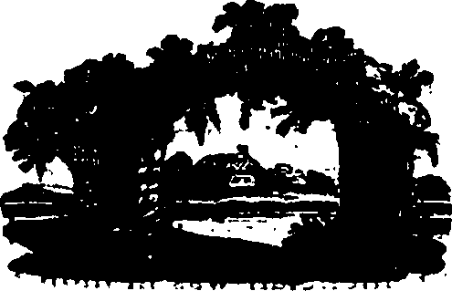 082/082360030000800_0.png