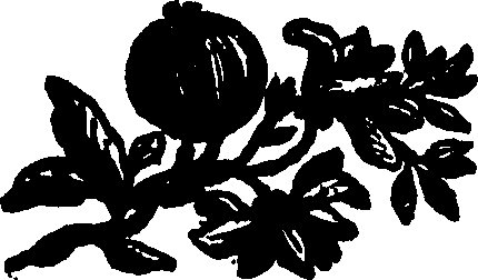 082/082360030001080_0.png