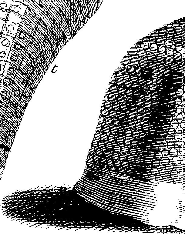 082/082370020101250_0.png