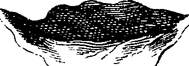 082/082370020102230_0.png