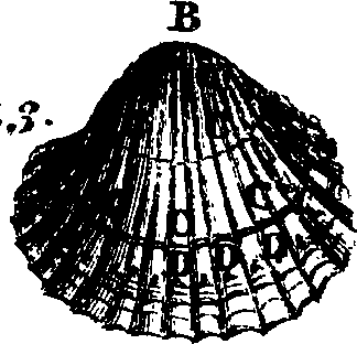 082/082370020200420_1.png