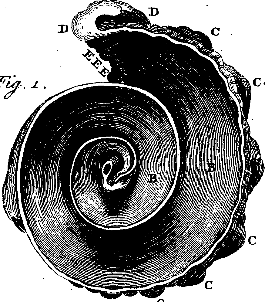 082/082370020200420_2.png