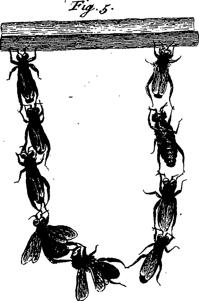 082/082370020200670_0.png