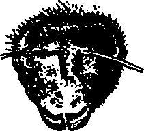 082/082370020200670_1.png