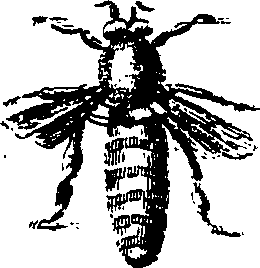 082/082370020200670_2.png