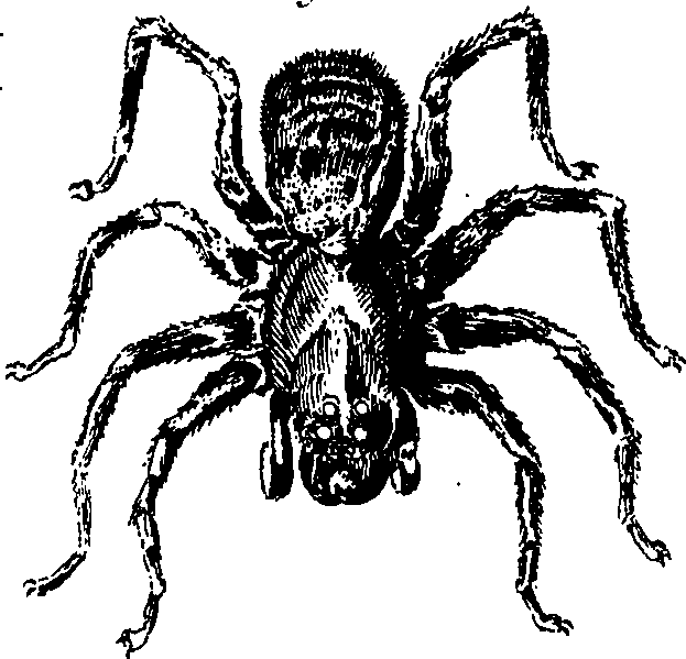 082/082370020201260_0.png