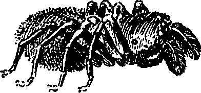 082/082370020201260_1.png