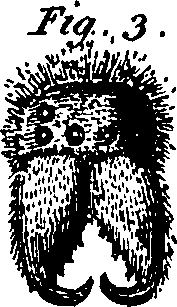 082/082370020201260_2.png