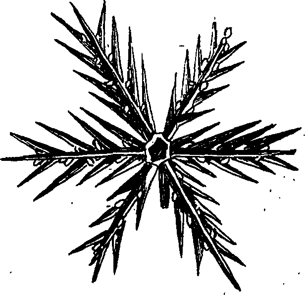 082/082370020202410_0.png