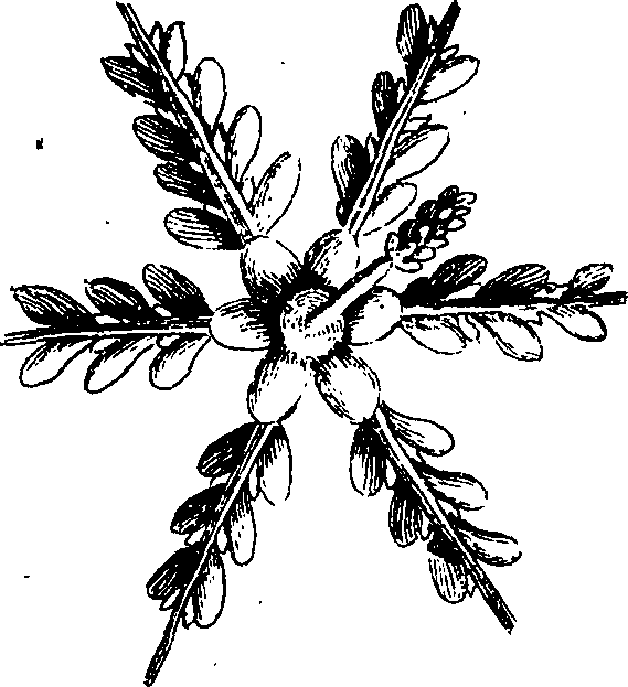 082/082370020202410_1.png