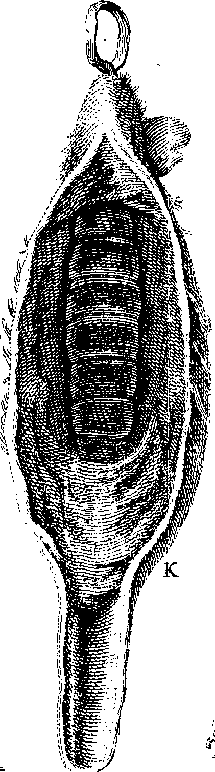 082/082370020203890_0.png