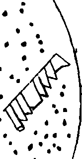 082/082460010004180_0.png