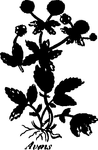 082/082460030000670_0.png