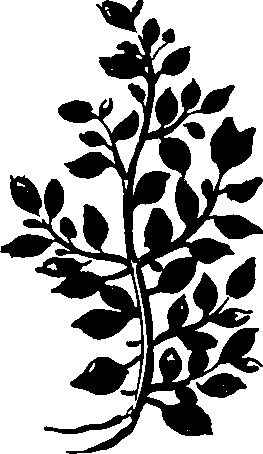 082/082460030000670_1.png
