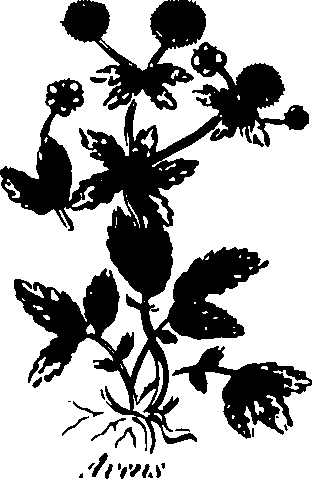 082/082460030000690_0.png