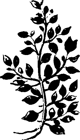 082/082460030000690_1.png