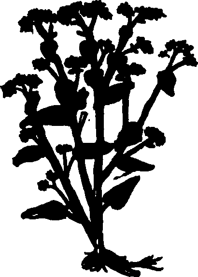 082/082460030000920_0.png