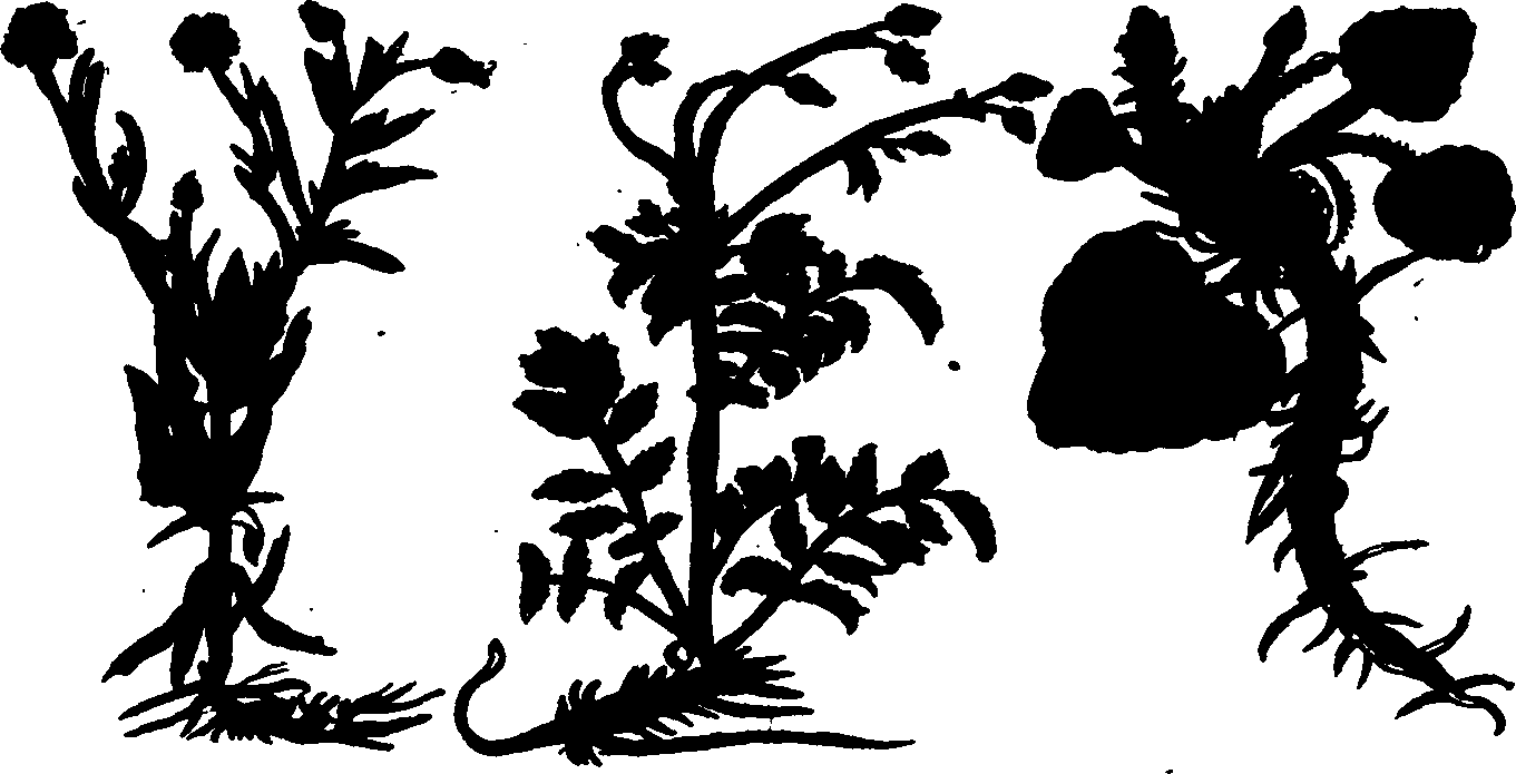 082/082460030000920_1.png